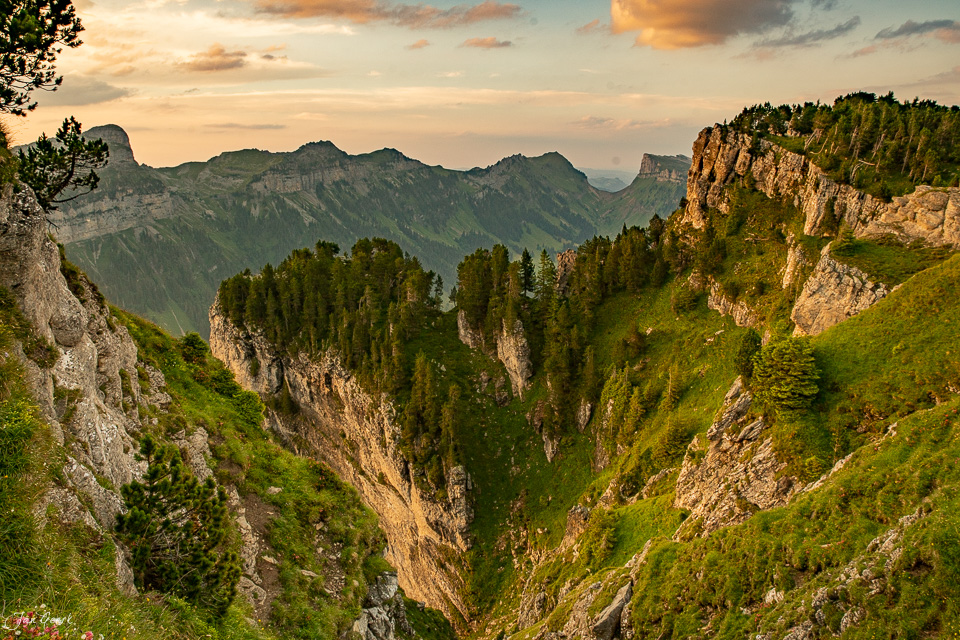 Alpental mit Felswänden und Bergwald im Sommer, Niederhorn Berner Oberland Schweiz – Jan Geerk Fotograf Basel