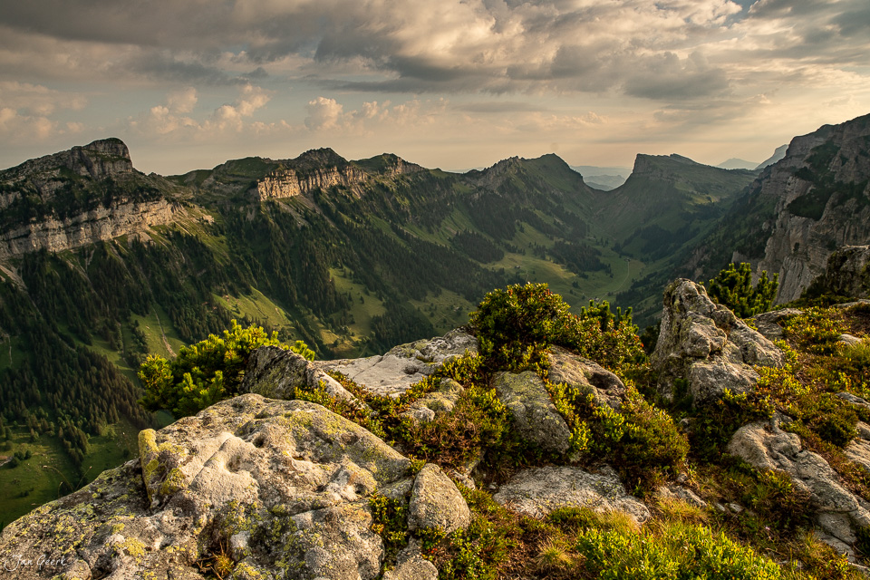 Blick vom Niederhorn auf die grünen Täler und Berge des Berner Oberlands an einem Sommertag – Jan Geerk Fotograf Basel