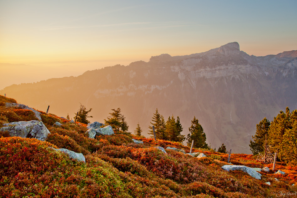 Niederhorn Herbstlandschaft Sonnenaufgang Berner Oberland Schweiz – Jan Geerk Fotograf Basel