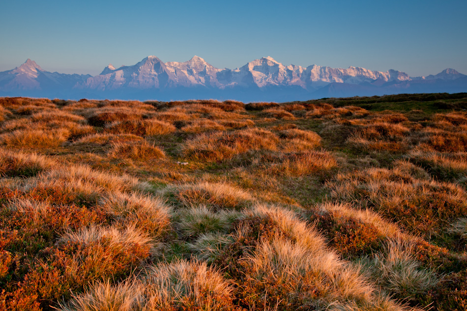 Alpenpanorama Niederhorn Herbstlandschaft Berner Oberland Schweiz – Jan Geerk Fotograf Basel