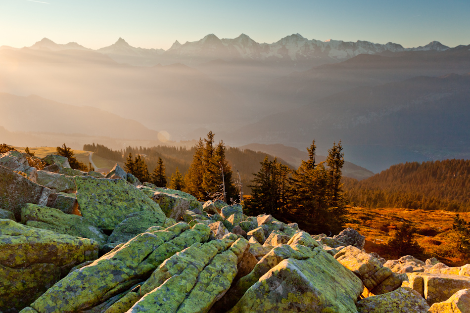 Niederhorn Alpstein Morgenstimmung Herbst Berner Oberland Schweiz – Jan Geerk Fotograf Basel