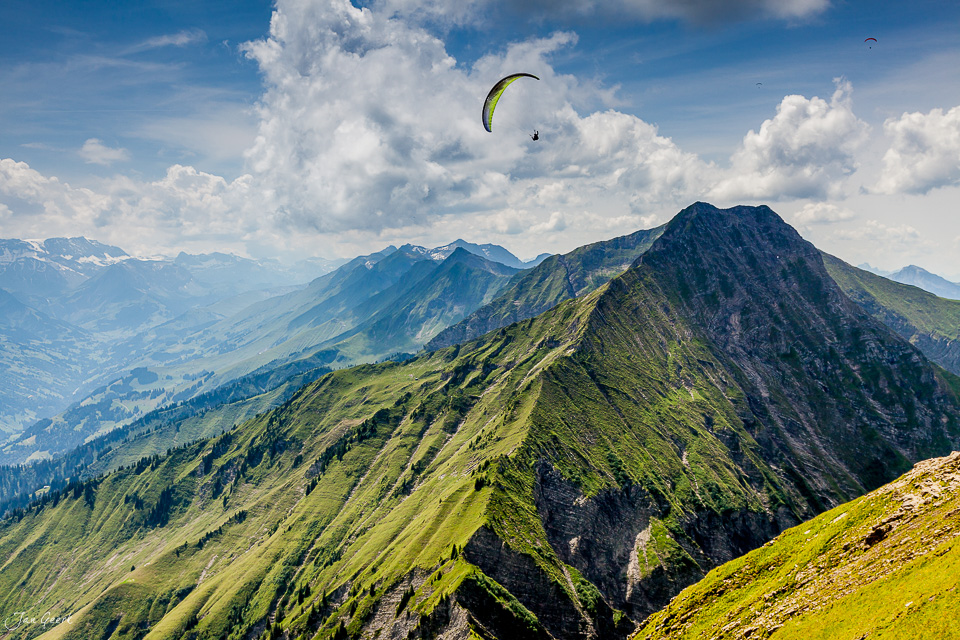 Gleitschirm über dem Niesen mit grünen Alpenhängen und fernen Bergketten im Berner Oberland Schweiz – Jan Geerk Fotograf Basel