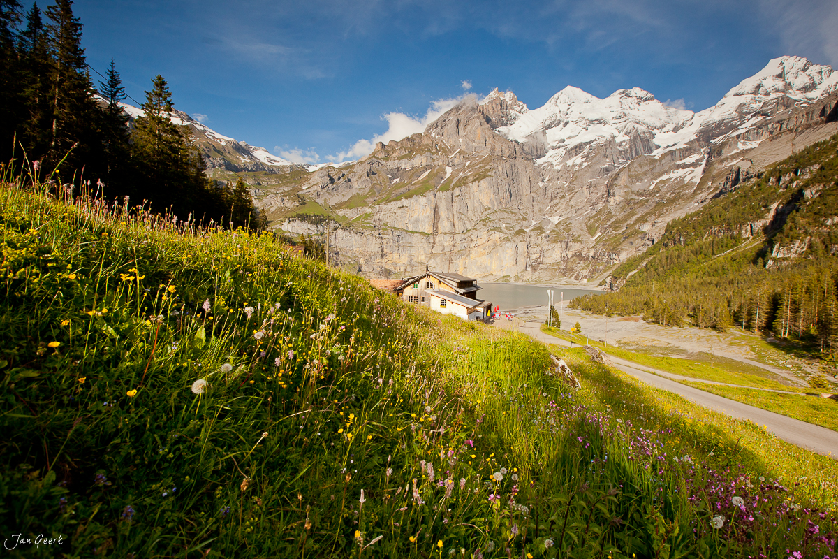 Oeschinensee Alpwiese Blüten Sommer Berner Oberland Schweiz Jan Geerk Fotograf Basel