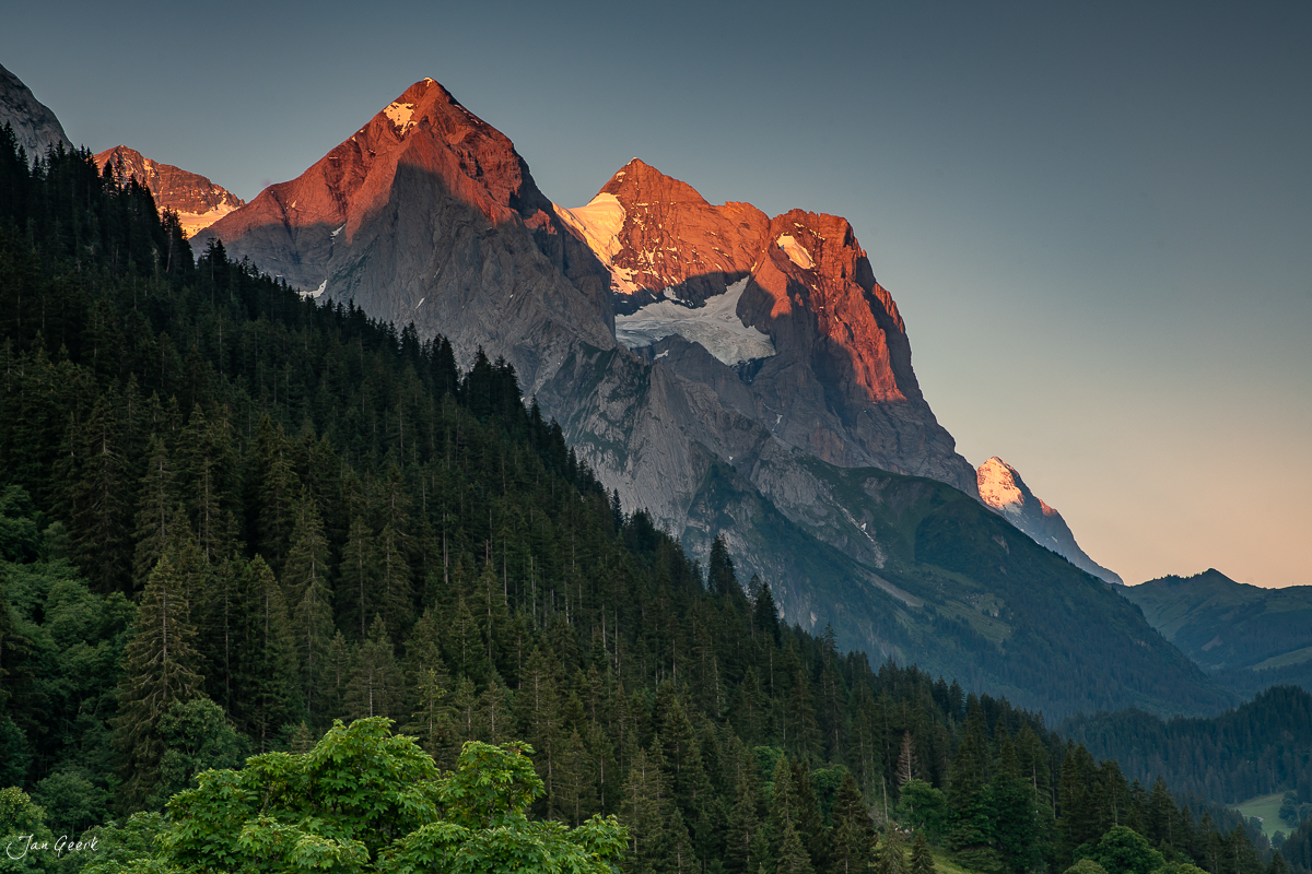 Alpengipfel mit Alpenglow-Beleuchtung über Nadelwald im Sommer in der Rosenlaui, Berner Oberland Schweiz – Jan Geerk Fotograf Basel