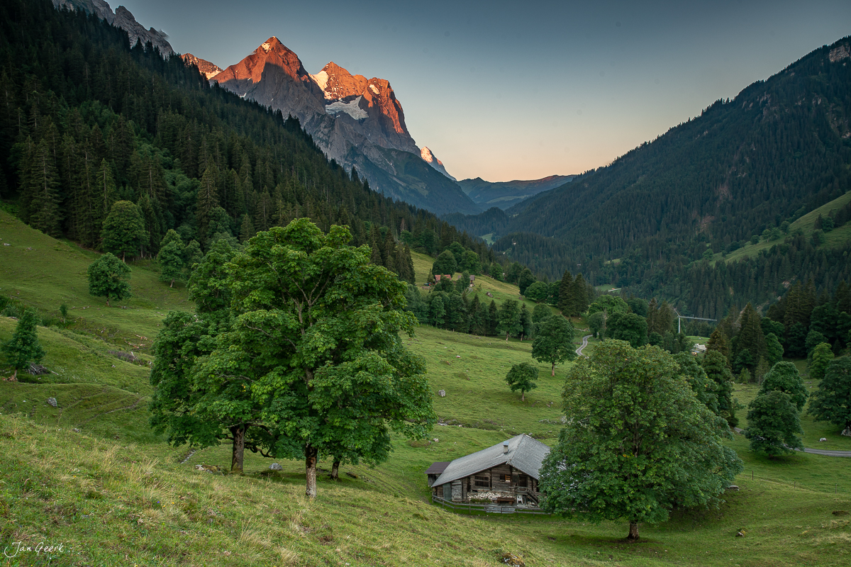 Alpweide mit Berghütte und Bergahorn im Sommer, Rosenlaui Berner Oberland Schweiz – Jan Geerk Fotograf Basel