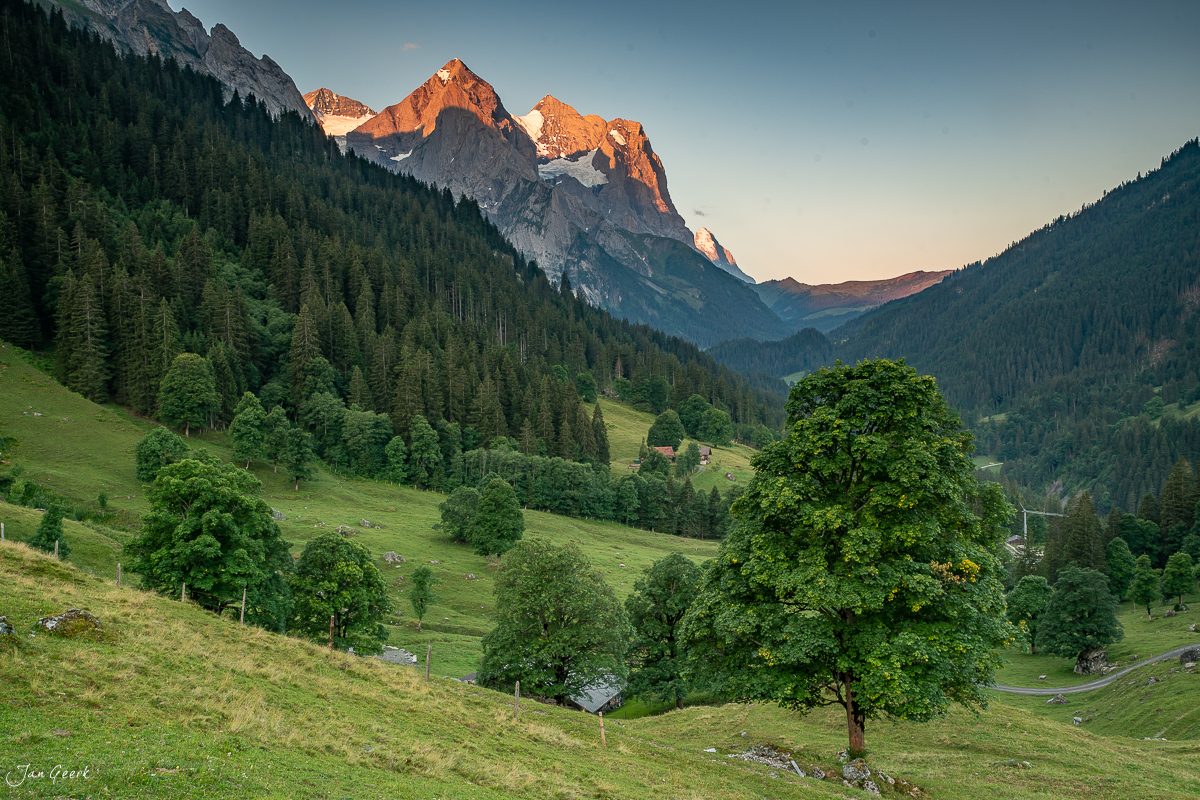 Alpenmassiv mit grünen Wiesen und Bergbäumen im Sommer in Rosenlaui Berner Oberland Schweiz – Jan Geerk Fotograf Basel