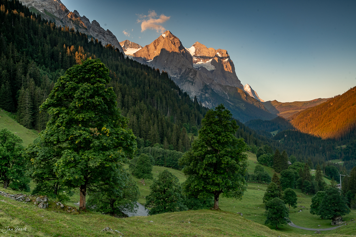 Alpental mit grünen Laubbäumen und schneebedeckten Gipfeln bei Rosenlaui im Berner Oberland, Sommerlichtstimmung, Schweiz – Jan Geerk Fotograf Basel