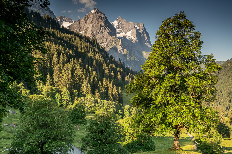Alpental mit Bergahornbäumen und Wellhorn Bergketten in Rosenlaui, Berner Oberland Schweiz – Jan Geerk Fotograf Basel