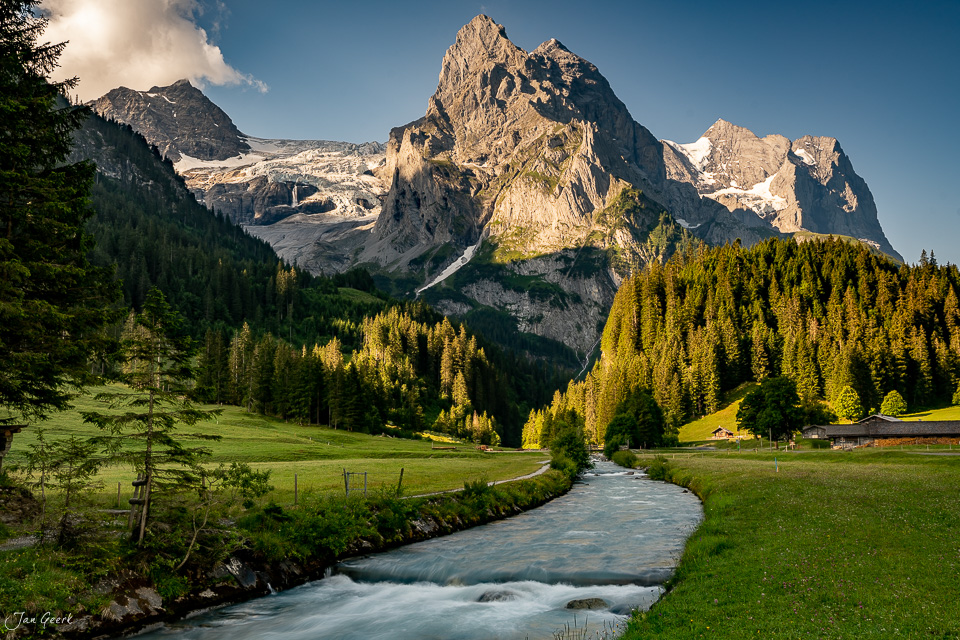 Alpbach und Bergahorn in Rosenlaui mit Wetterhorn und Wellhorn im Sommer, Berner Oberland Schweiz – Jan Geerk Fotograf Basel