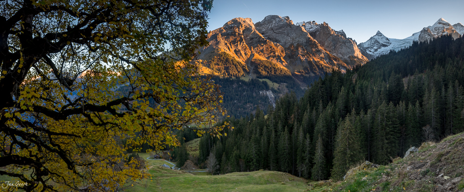 Herbstliche Berglandschaft in Rosenlaui mit goldenem Ahornbaum und schneebedeckten Gipfeln, Herbstlicht im Berner Oberland Schweiz – Jan Geerk Fotograf Basel