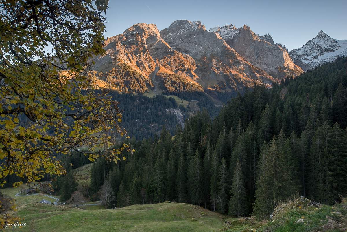 Alpweide mit Bergahorn und Wellhorn im Herbstlicht, Rosenlaui Berner Oberland Schweiz – Jan Geerk Fotograf Basel