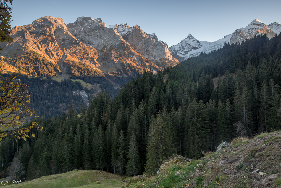 Alpental mit Nadelwäldern und Herbstfarben bei Rosenlaui im Berner Oberland Schweiz – Jan Geerk Fotograf Basel