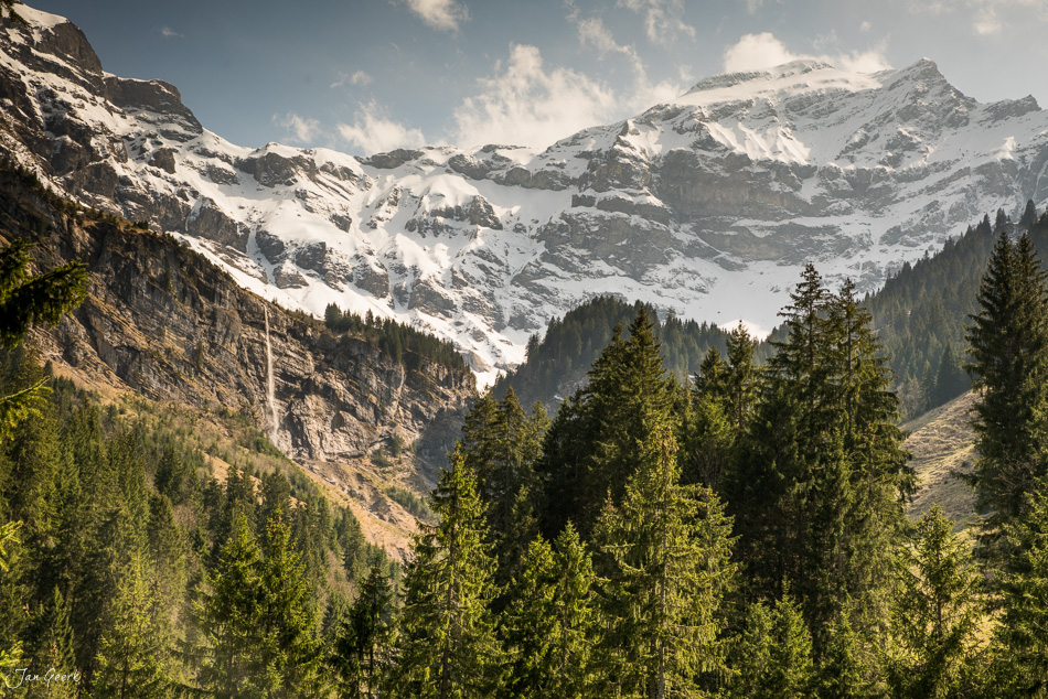 Schneebedeckte Bergkette mit Tannenwald im Berner Oberland, Frühling, Schweiz – Jan Geerk Fotograf Basel