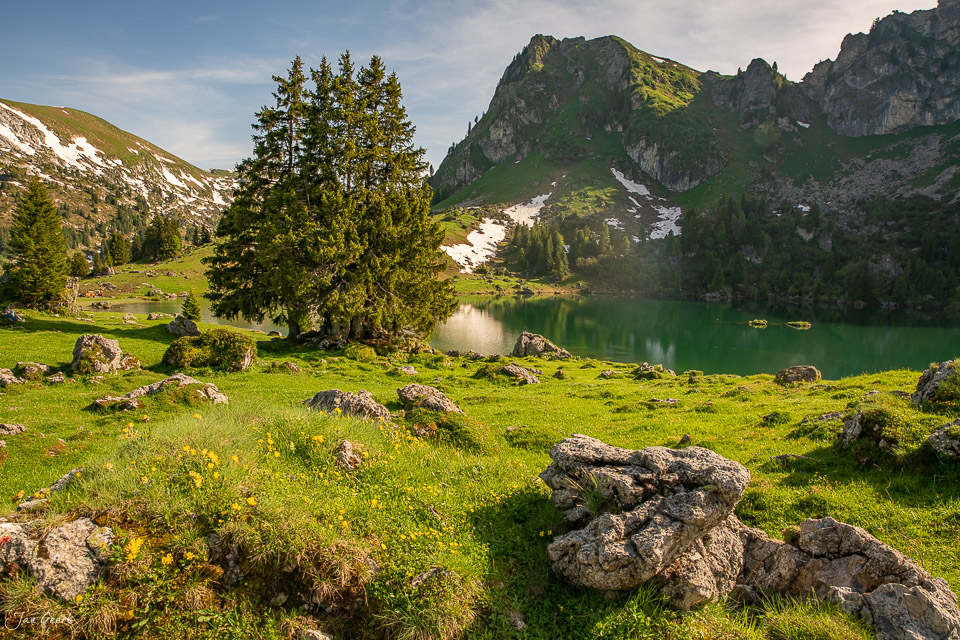 Alpiner Bergsee mit grüner Wiese, Fichten und schneebedeckten Bergen im Bergfrühling am Seebergsee in der Schweiz – Jan Geerk Fotograf Basel