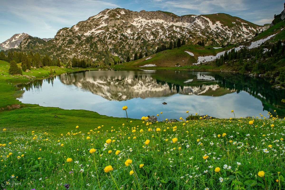 Alpensee mit Blumenwiese, Bergen und Spiegelungen im Seebergsee, Bergfrühling in der Schweiz – Jan Geerk Fotograf Basel