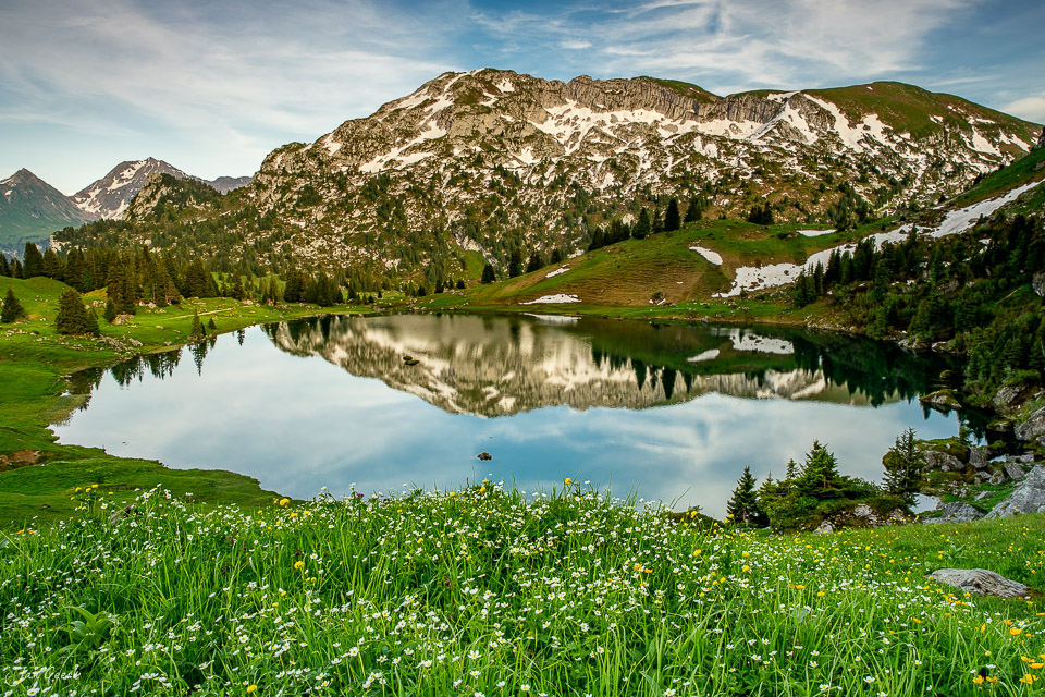 Bergsee Seebergsee mit Alpenpanorama, Blumenwiese und Spiegelung in Zweisimmen, Berner Oberland Schweiz – Jan Geerk Fotograf Basel