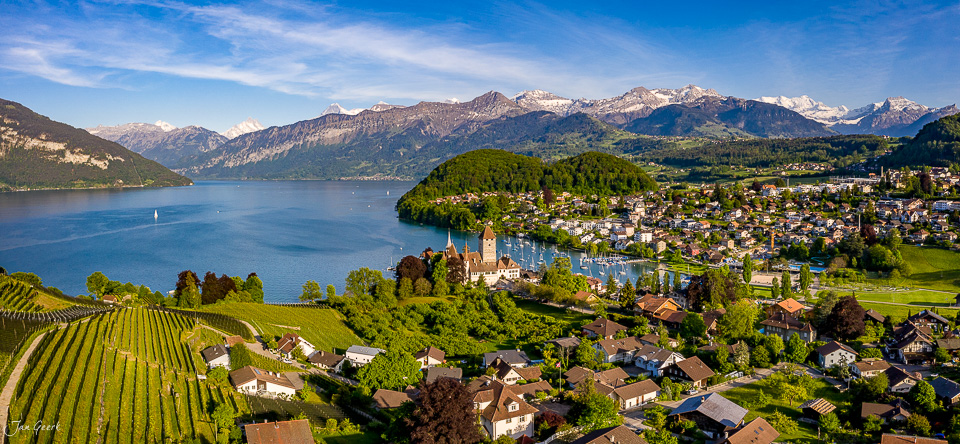 Luftaufnahme Schloss Spiez am Thunersee mit Rebbergen, Alpenpanorama bei Sonnenschein, Berner Oberland Schweiz – Jan Geerk Fotograf Basel