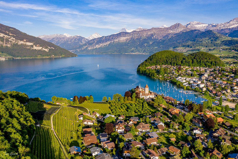Luftaufnahme Schloss Spiez am Thunersee mit Rebbergen, Alpenkette und Segelbooten, Frühling, Berner Oberland Schweiz – Jan Geerk Fotograf Basel