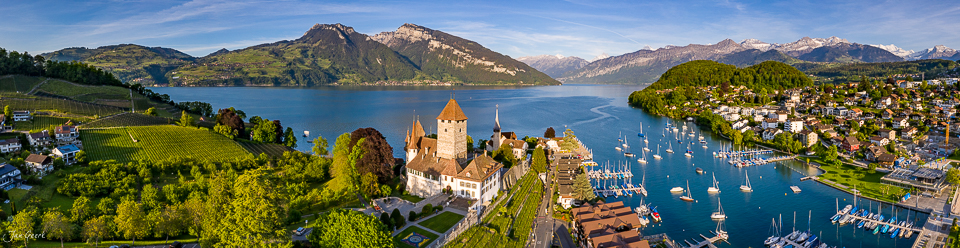 Schloss Spiez am Thunersee mit Rebbergen, Alpenblick und Segelbooten in Frühlingslicht – Berner Oberland Schweiz Jan Geerk Fotograf Basel
