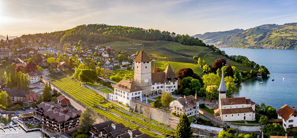 Schloss Spiez mit Rebberg und Thunersee bei goldenem Kantlicht, Berner Oberland Schweiz – Jan Geerk Fotograf Basel