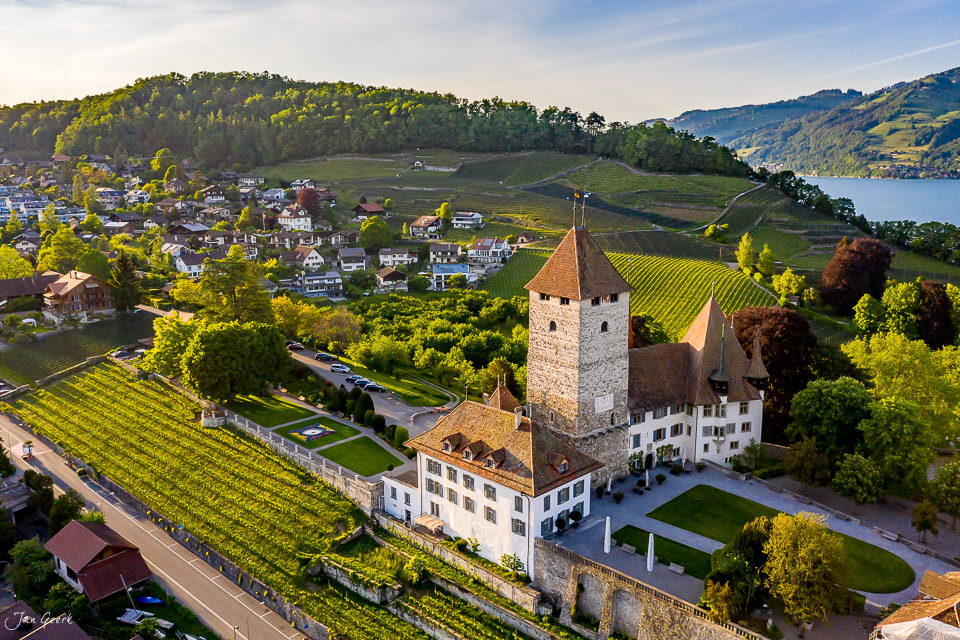 Schloss Spiez mit Rebbergen am Thunersee bei goldenem Kantlicht, Berner Oberland Schweiz – Jan Geerk Fotograf Basel