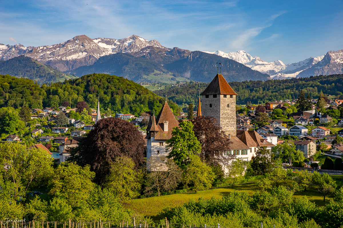 Schloss Spiez mit Rebbergen am Thunersee, Berner Oberland Luftaufnahme in grüner Frühjahrslandschaft Schweiz Jan Geerk Fotograf Basel