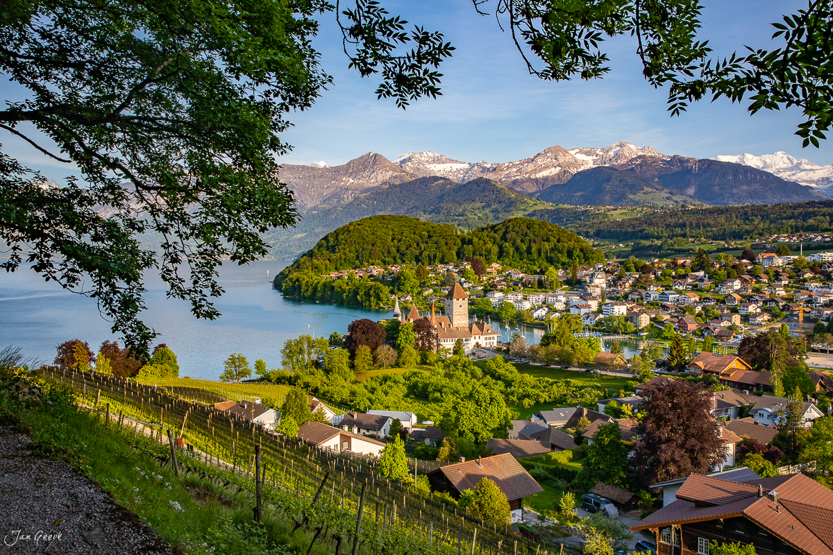 Schloss Spiez am Thunersee mit Rebbergen und Alpenpanorama bei Sonnenlicht, Berner Oberland Schweiz – Jan Geerk Fotograf Basel