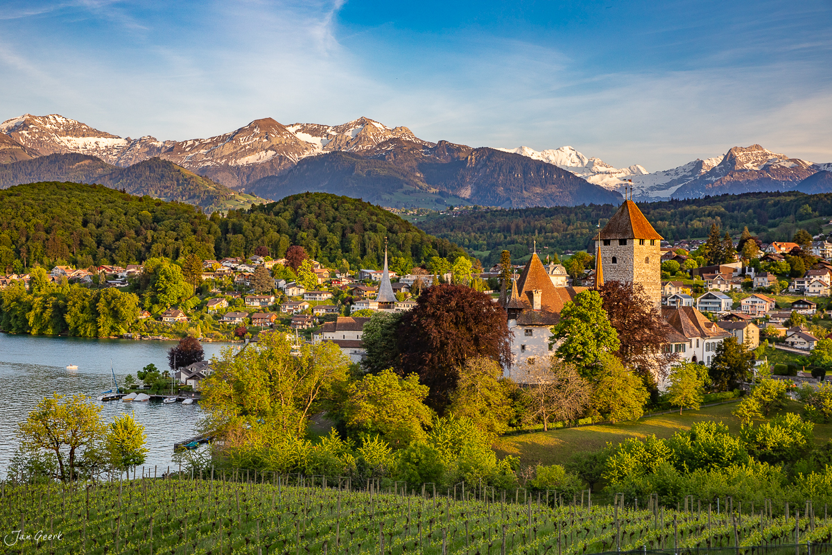 Schloss Spiez mit Rebberg am Thunersee, Berner Oberland in grüner Frühjahrslandschaft – Jan Geerk Fotograf Basel Schweiz