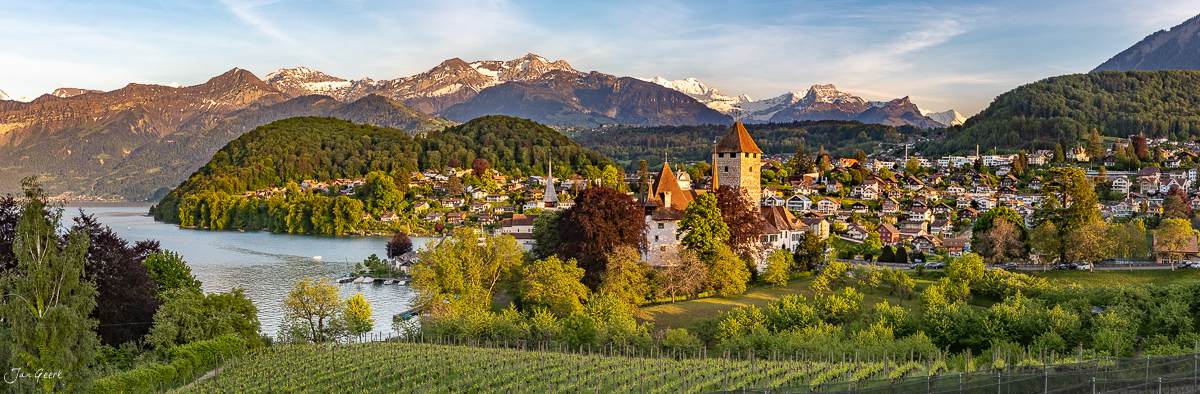 Schloss Spiez mit Rebberg am Thunersee, herbstliche Lichtstimmung, Berner Oberland Schweiz – Jan Geerk Fotograf Basel
