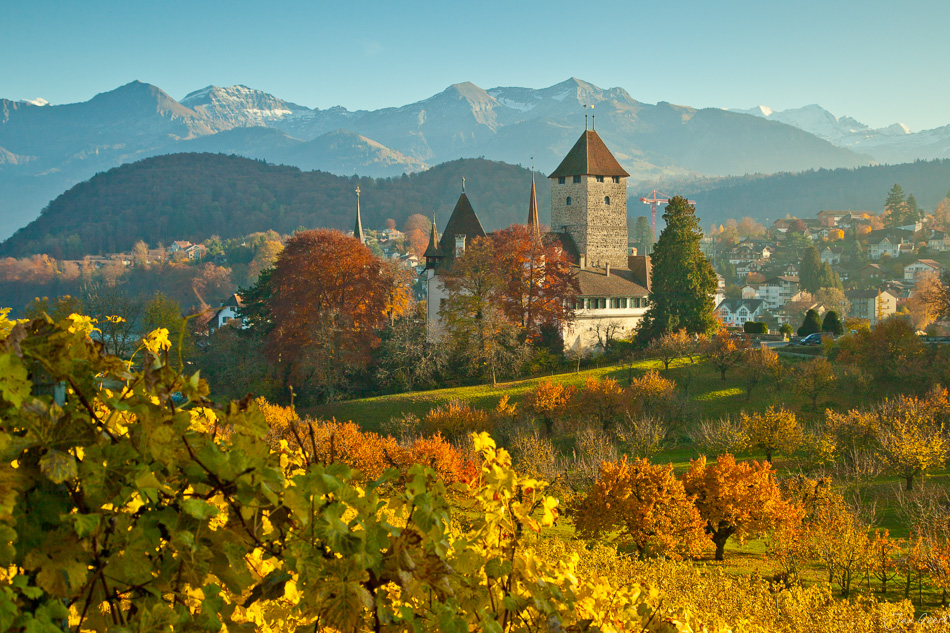 Schloss Spiez Herbst Weinberge Berner Oberland Schweiz – Jan Geerk Fotograf Basel