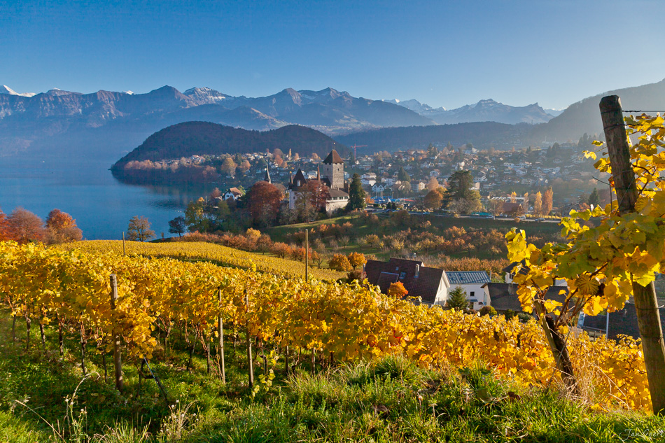 Schloss Spiez Herbst Weinberge Thunersee Berner Oberland Schweiz – Jan Geerk Fotograf Basel