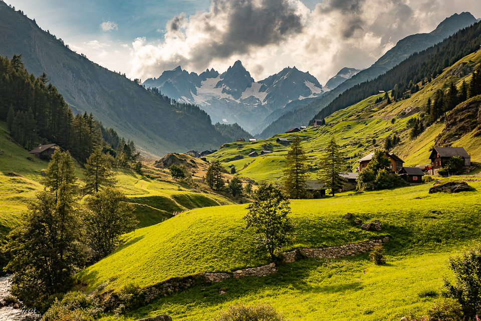 Alpenpanorama mit grünen Wiesen, schneebedeckten Gipfeln und Berghäusern am Sustenpass, Sommer, Berner Oberland Schweiz – Jan Geerk Fotograf Basel