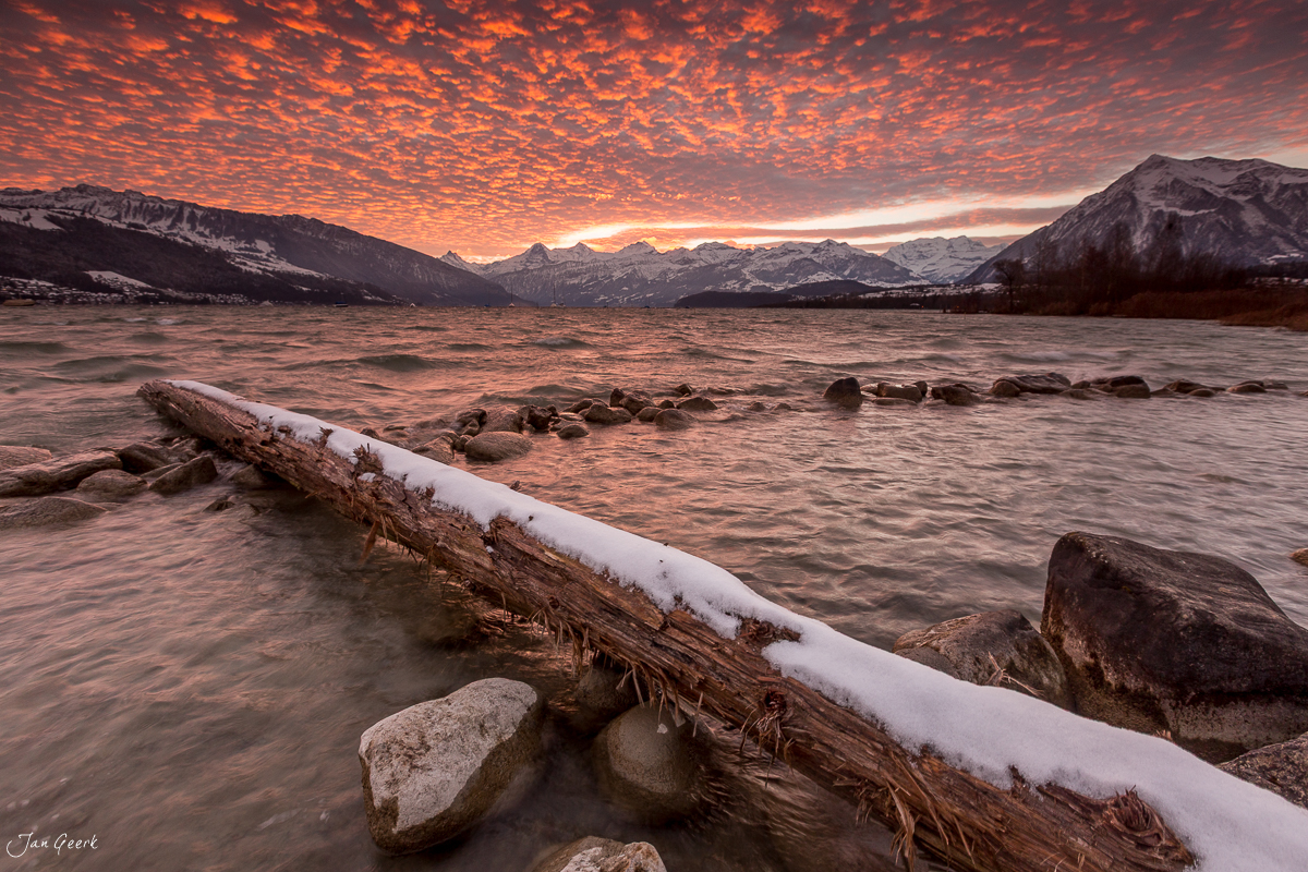 Verschneiter Baumstamm am Thunersee mit Alpenblick bei Sonnenaufgang, Berner Oberland Schweiz – Jan Geerk Fotograf Basel