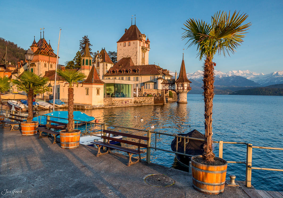 Schloss Oberhofen am Thunersee mit Palmen und Schneebergen im Frühling, Berner Oberland Schweiz – Jan Geerk Fotograf Basel