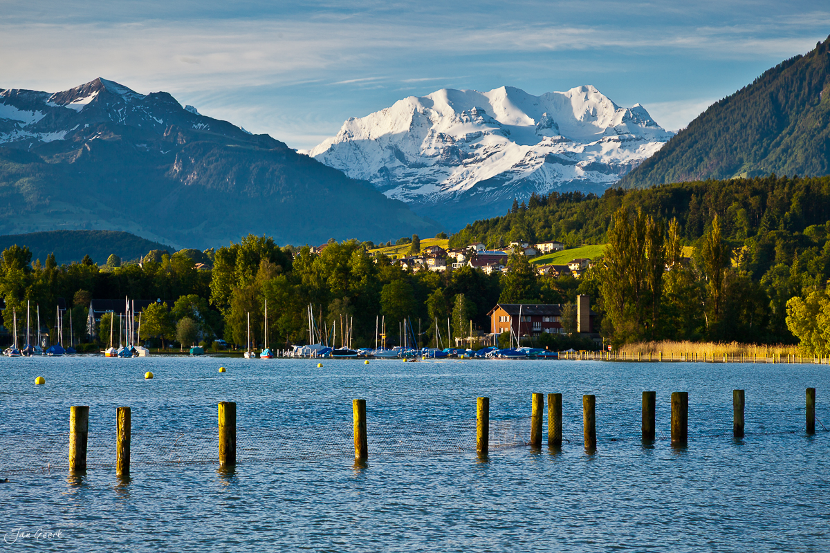 Thunersee mit Segelbooten Sommerlandschaft Berner Oberland Schweiz Jan Geerk Fotograf Basel