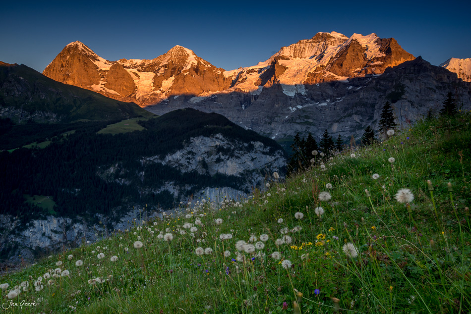 Alpenglühen über Winteregg mit Eiger, Mönch und Jungfrau im Sommer, Berner Oberland Schweiz – Jan Geerk Fotograf Basel