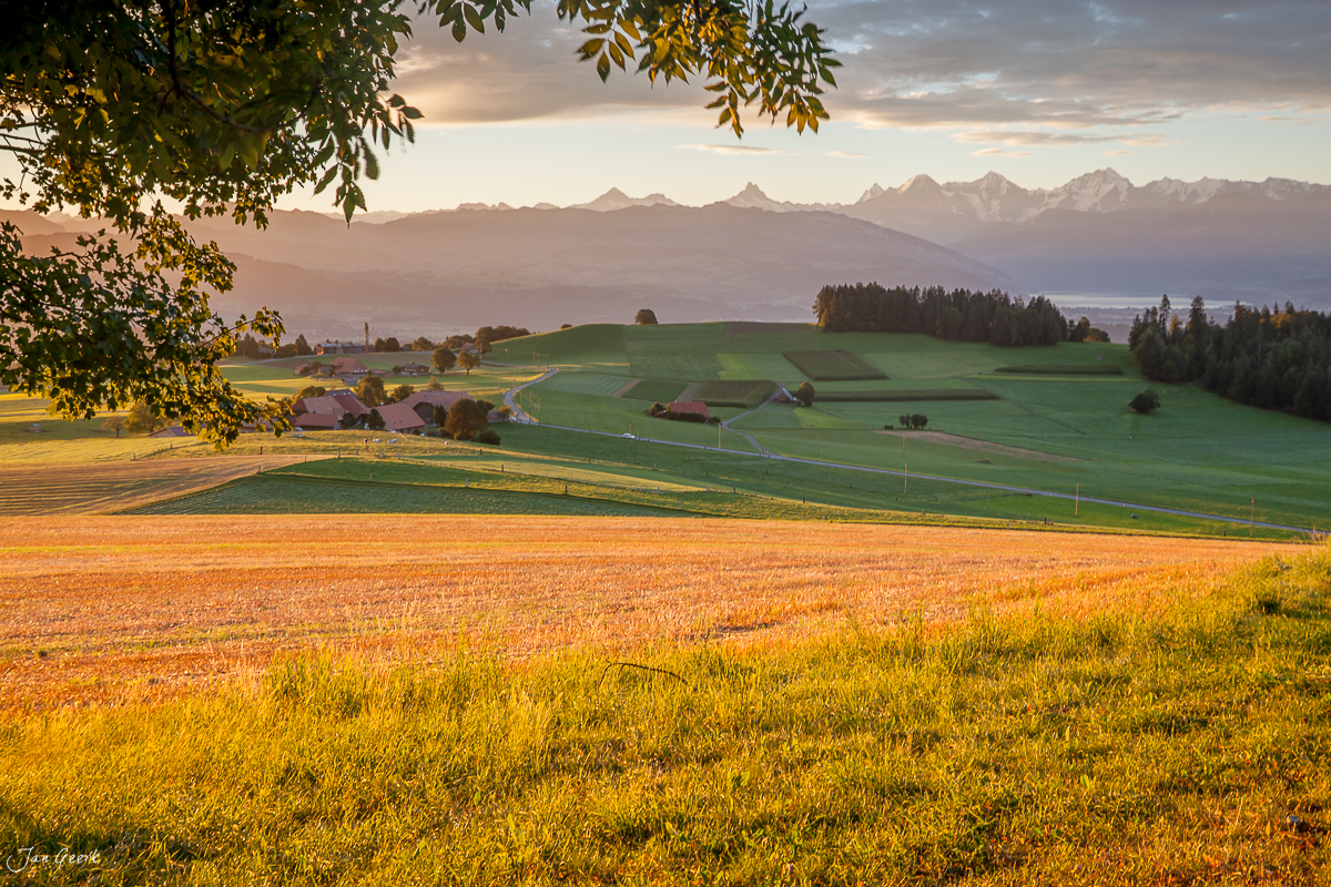 Bütschelegg Eiger Mönch Jungfrau Alpensicht Herbst Berner Oberland Schweiz – Jan Geerk Fotograf Basel