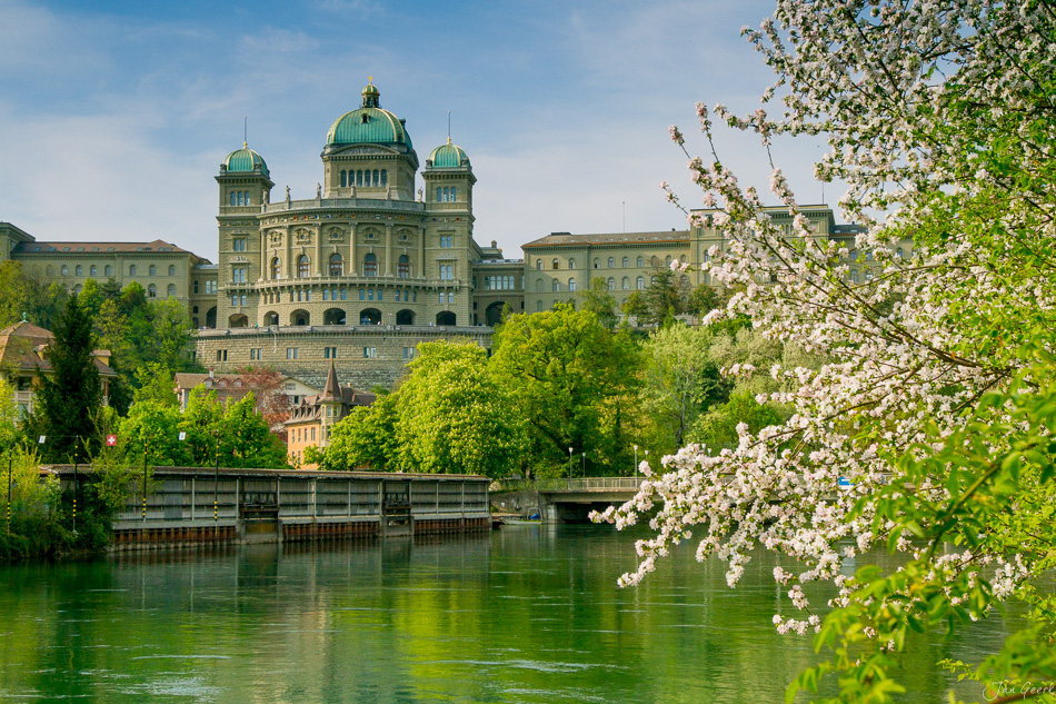 Bundeshaus Bern Aare Frühjahr Blüte Berner Oberland Schweiz – Jan Geerk Fotograf Basel