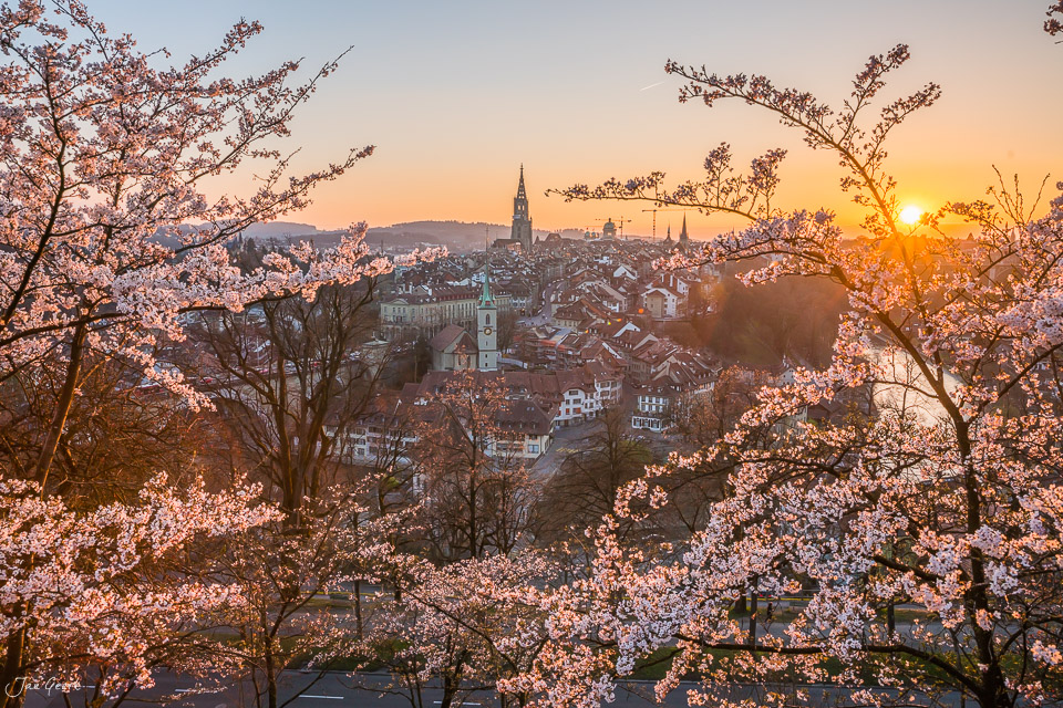 Kirschblüte mit Blick auf Bern Altstadt Frühling Sonnenaufgang Schweiz Jan Geerk Fotograf Basel