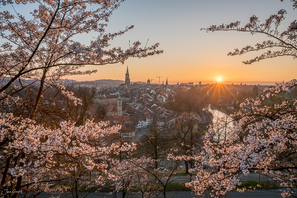 Kirschblüte über Bern Altstadt bei Sonnenaufgang, Frühling Schweiz – Jan Geerk Fotograf Basel