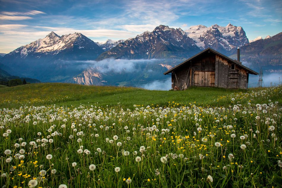 Alpental mit Wellhorn Wetterhorn Meiringen Hasliberg Frühling Blüten Berner Oberland Schweiz Jan Geerk Fotograf Basel