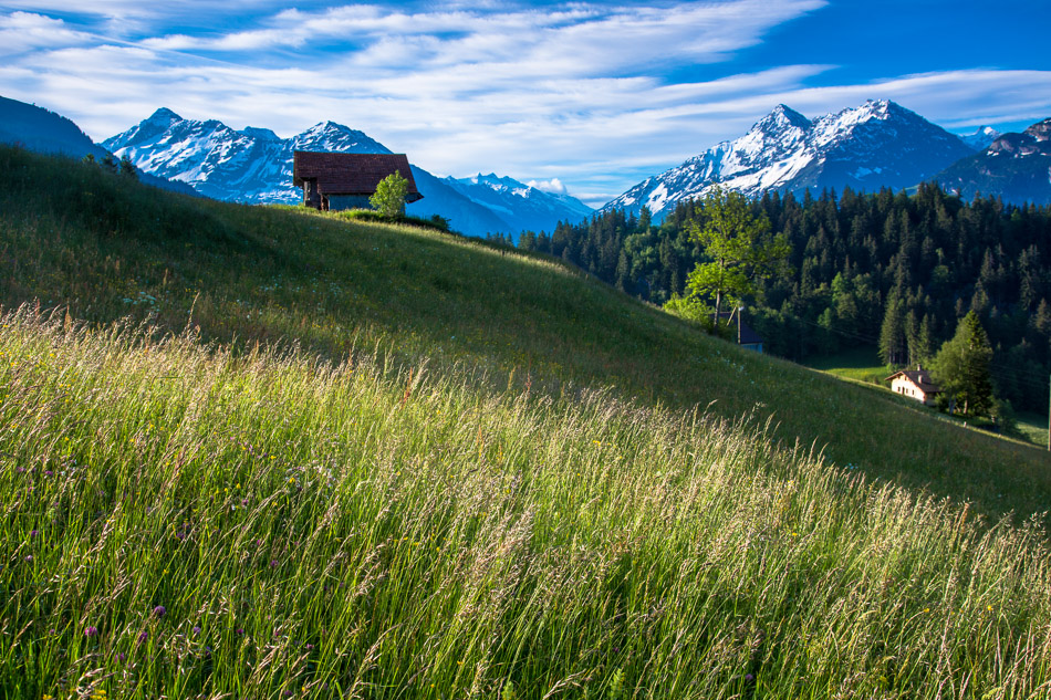 Alpwiese mit Heustadel Meiringen Hasliberg Wellhorn Wetterhorn Sommer Berner Oberland Schweiz