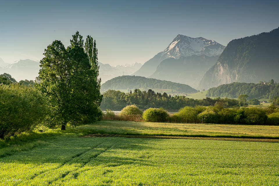 Alpental mit grünen Wiesen, Pappeln und schneebedecktem Stockhorn, Frühlingsstimmung, Uebeschisee Berner Oberland Schweiz – Jan Geerk Fotograf Basel