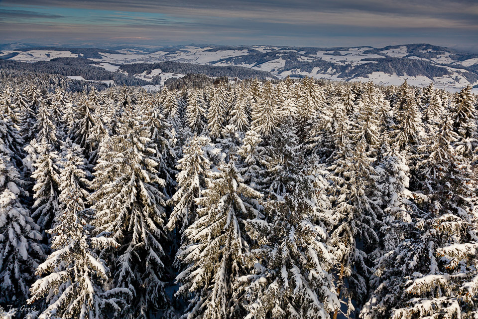 Schneebedeckte Fichtenwälder Chuderhüsi Emmental Winterlandschaft Berner Oberland Schweiz Jan Geerk Fotograf Basel