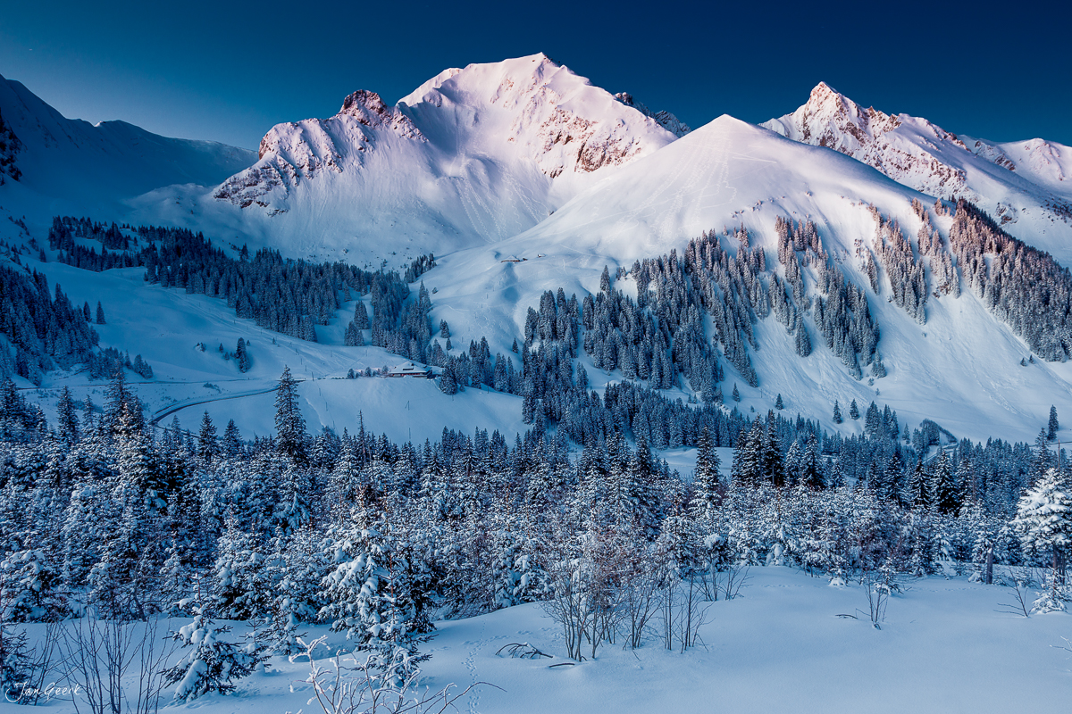 Schneebedeckte Berglandschaft mit Föhrenwald Engstligenalp Berneroberland Winter Schweiz Jan Geerk Fotograf Basel