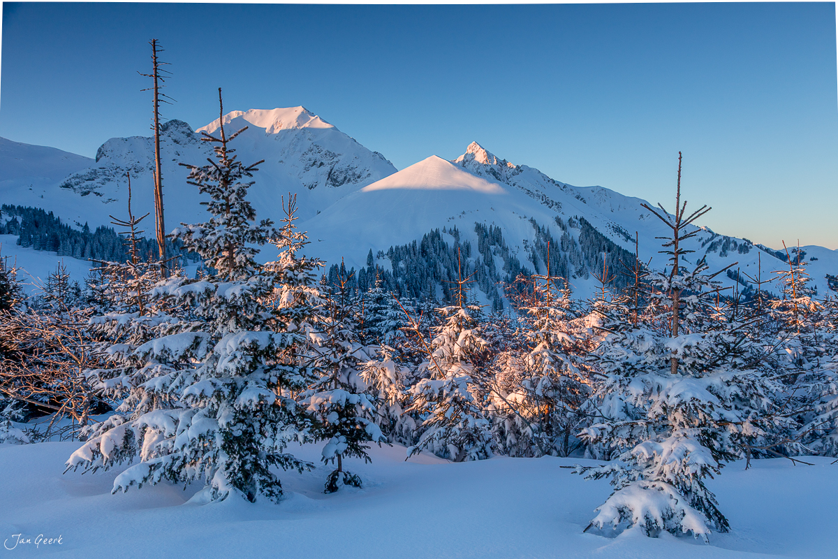 Verschneite Fichten Berglandschaft Alpental Berner Oberland Winter Schweiz Jan Geerk Fotograf Basel