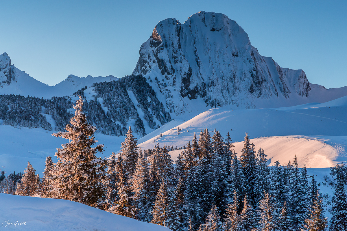 Schneebedeckter Gantrisch mit verschneiten Lärchen Berner Oberland Winter Schweiz Jan Geerk Fotograf Basel