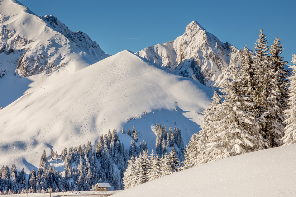 Verschneite Berglandschaft mit schneebedeckten Fichten Appenzell Alpen Wintermorgen Berneroberland Schweiz Jan Geerk Fotograf Basel