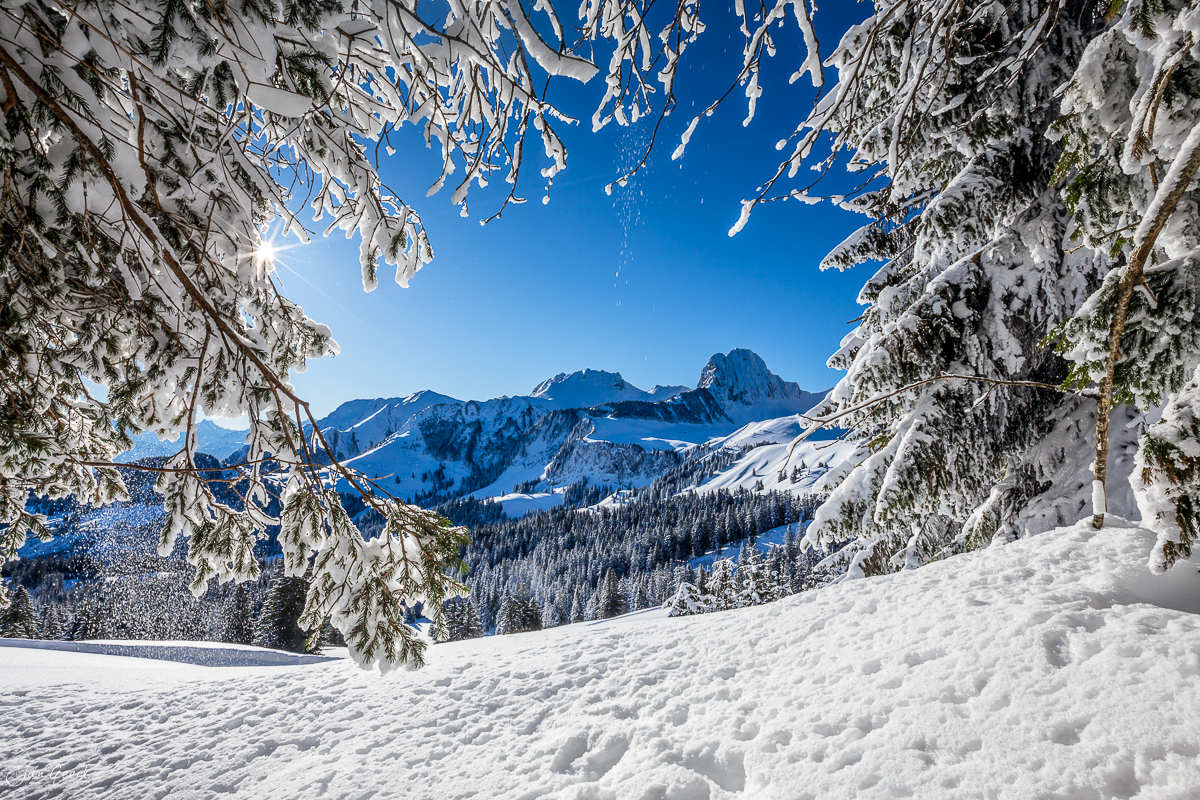 Schneebedeckte Fichten und Bergpanorama Appenzell Alpen Winterlandschaft Schweiz Jan Geerk Fotograf Basel