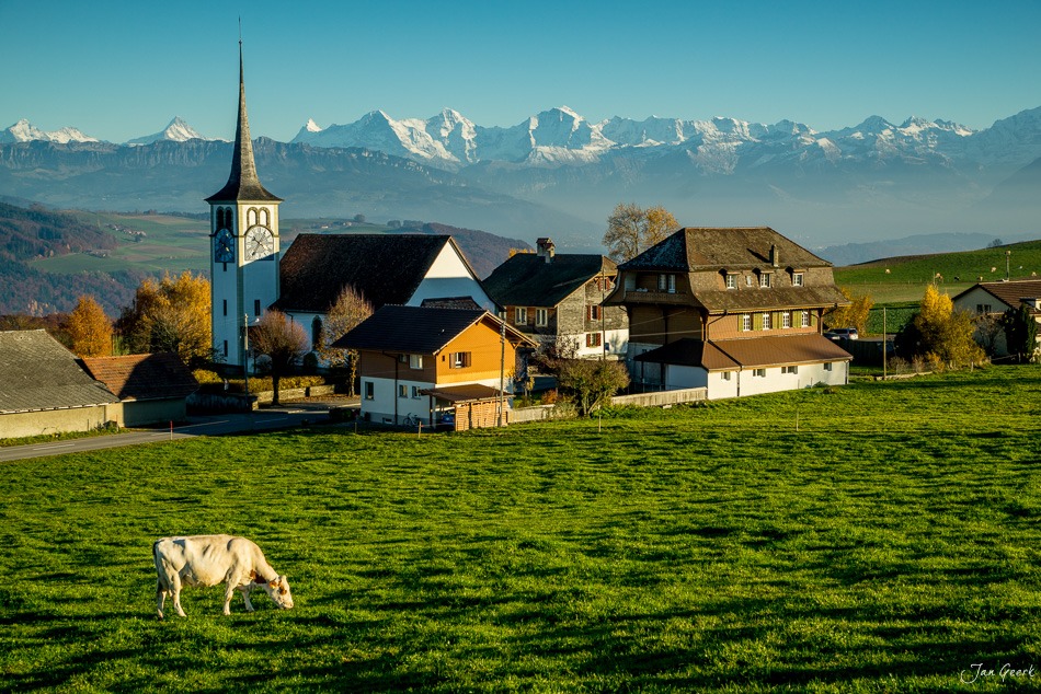 Dorf Längenberg mit Kirche, Alpenpanorama und weidendes Rind im Herbst, Berner Oberland Schweiz – Jan Geerk Fotograf Basel